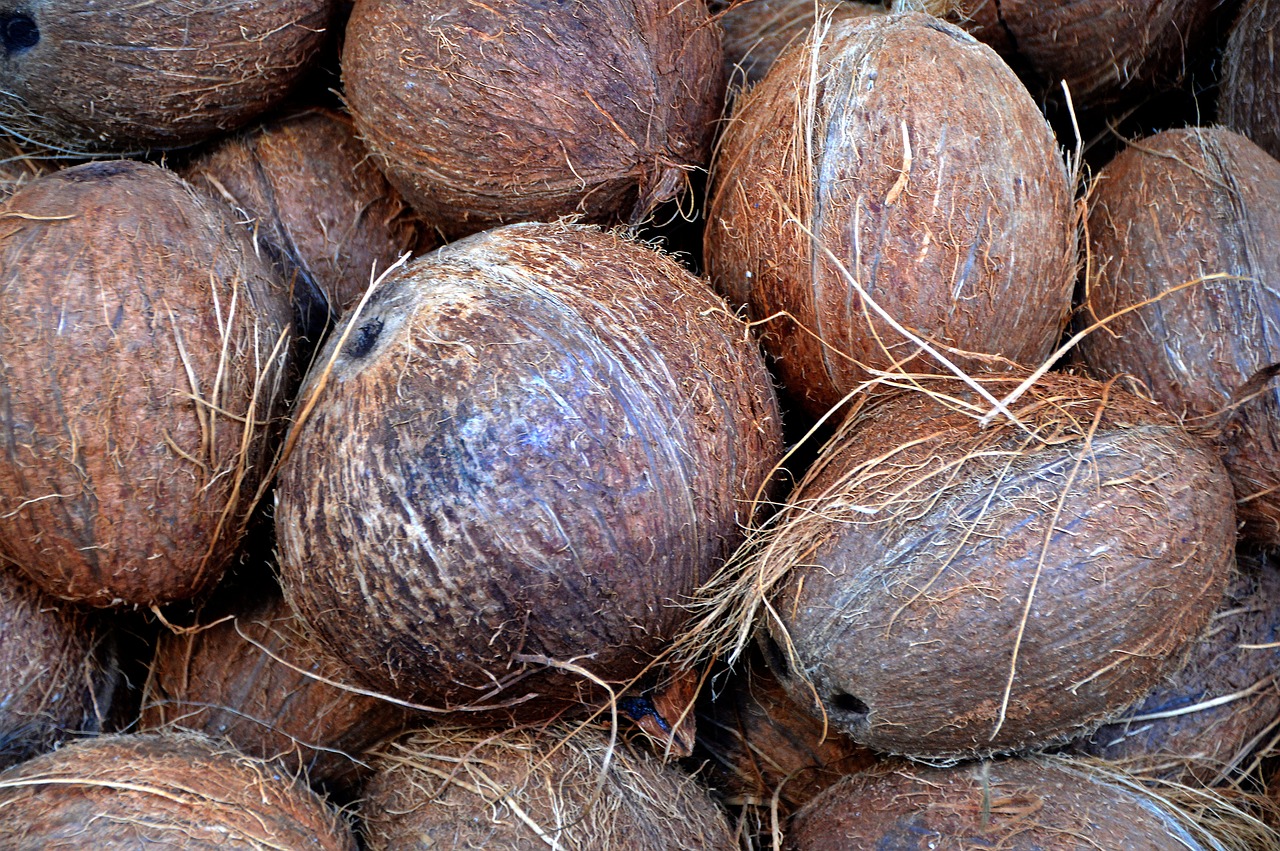 coconut-1583223_1280